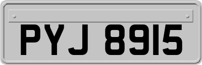 PYJ8915