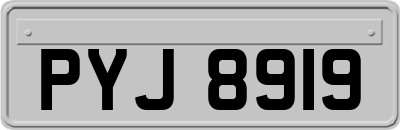 PYJ8919