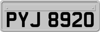 PYJ8920