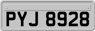 PYJ8928