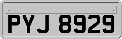 PYJ8929