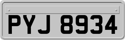 PYJ8934