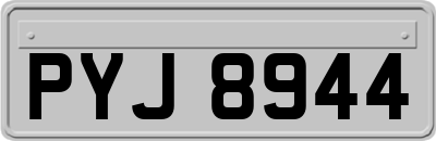 PYJ8944