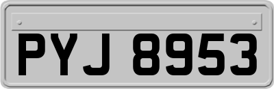 PYJ8953