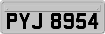 PYJ8954