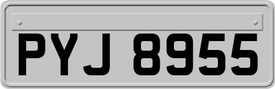 PYJ8955