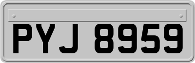 PYJ8959