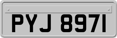 PYJ8971