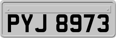 PYJ8973