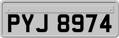 PYJ8974