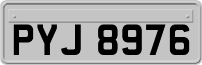 PYJ8976