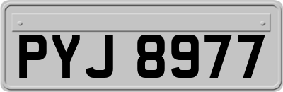 PYJ8977