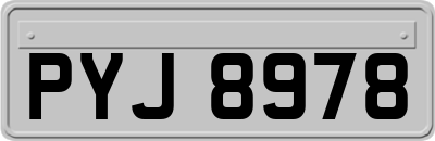 PYJ8978