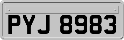 PYJ8983