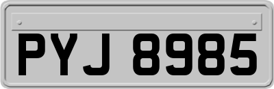 PYJ8985