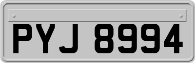 PYJ8994