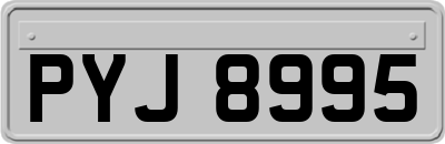 PYJ8995