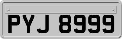 PYJ8999