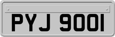 PYJ9001