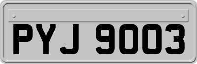 PYJ9003