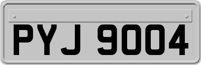 PYJ9004