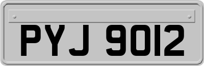 PYJ9012