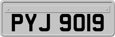 PYJ9019