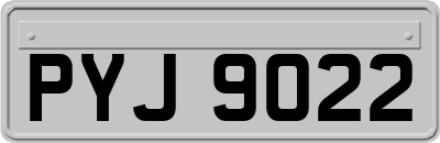 PYJ9022