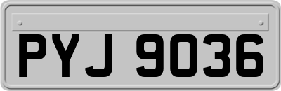 PYJ9036