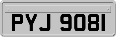 PYJ9081