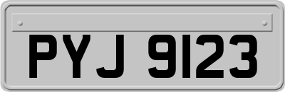 PYJ9123