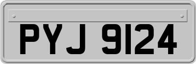 PYJ9124