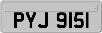 PYJ9151