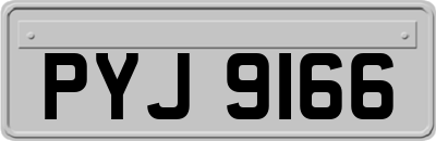 PYJ9166