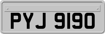 PYJ9190