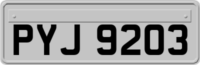 PYJ9203