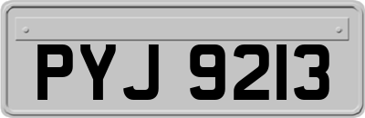 PYJ9213