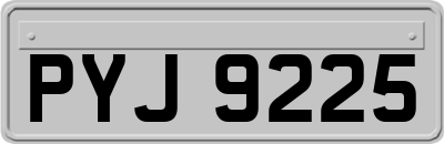 PYJ9225