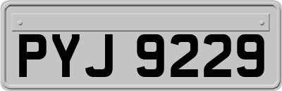 PYJ9229