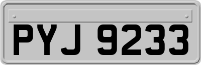 PYJ9233