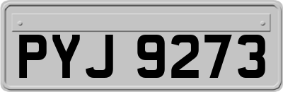 PYJ9273