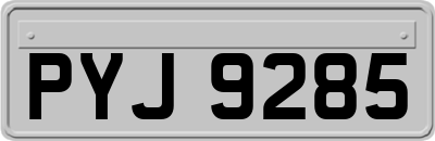 PYJ9285