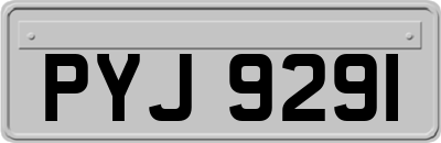 PYJ9291