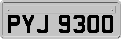 PYJ9300