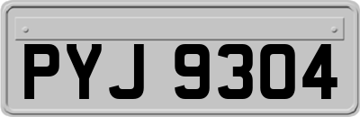 PYJ9304