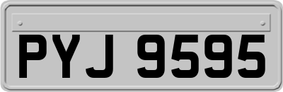 PYJ9595