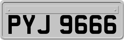 PYJ9666