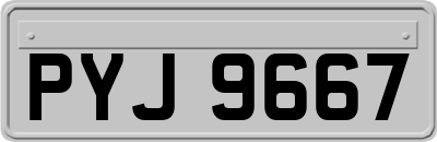 PYJ9667