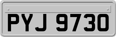 PYJ9730