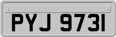 PYJ9731